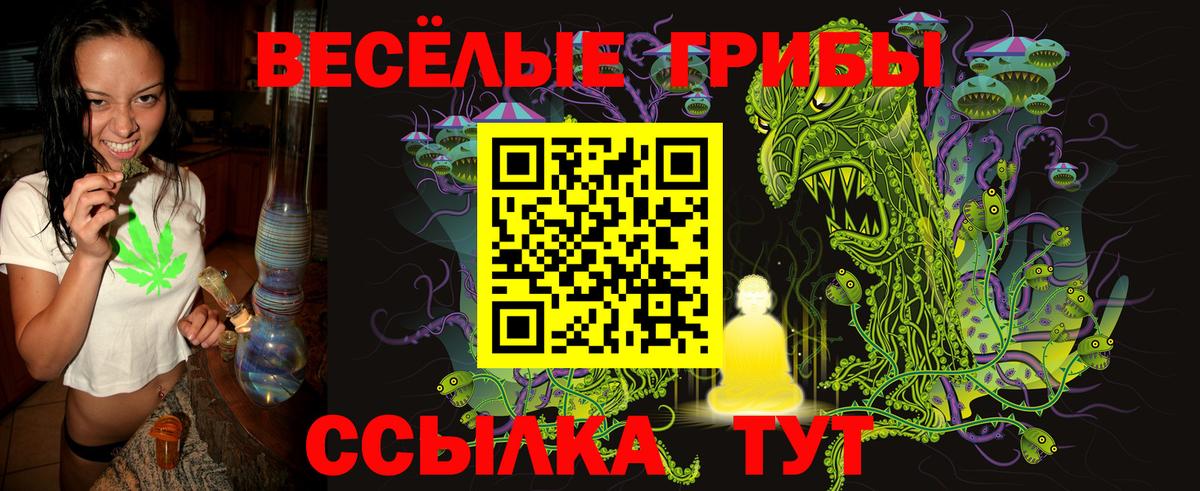 Галлюциногенные грибы мухоморы Белореченск