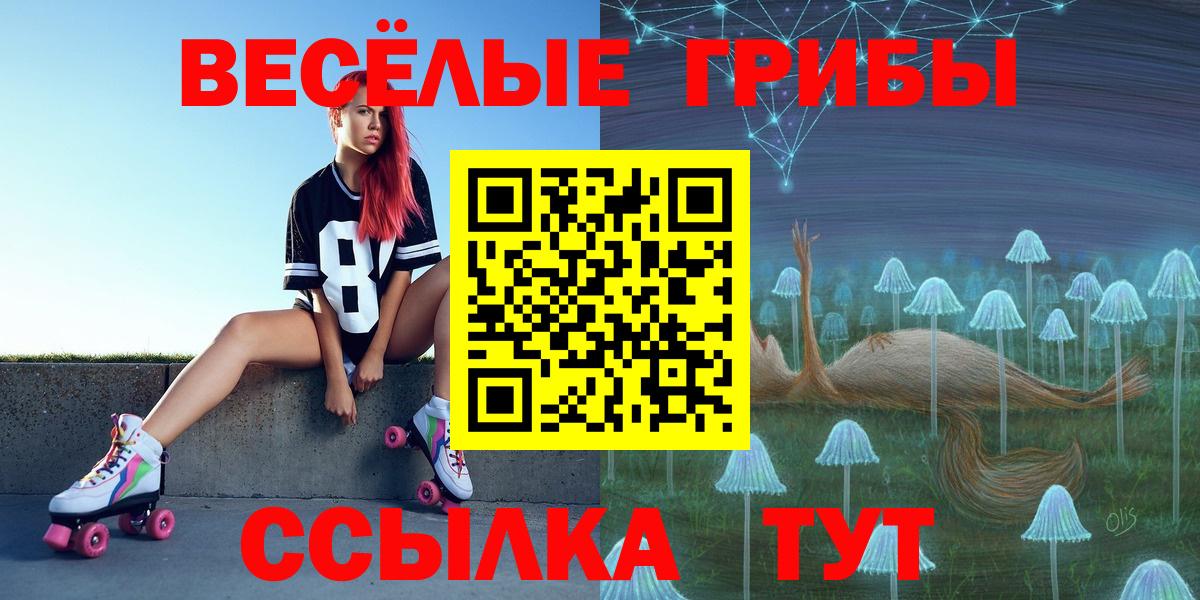 Псилоцибиновые грибы Cubensis  Псилоцибиновые грибы прущие грибы  Белореченск 