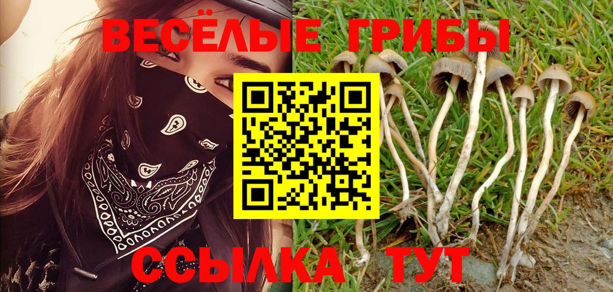 Белореченск  Псилоцибиновые грибы Psilocybine cubensis  Вход с VPN  Псилоцибиновые грибы MAGIC MUSHROOMS 